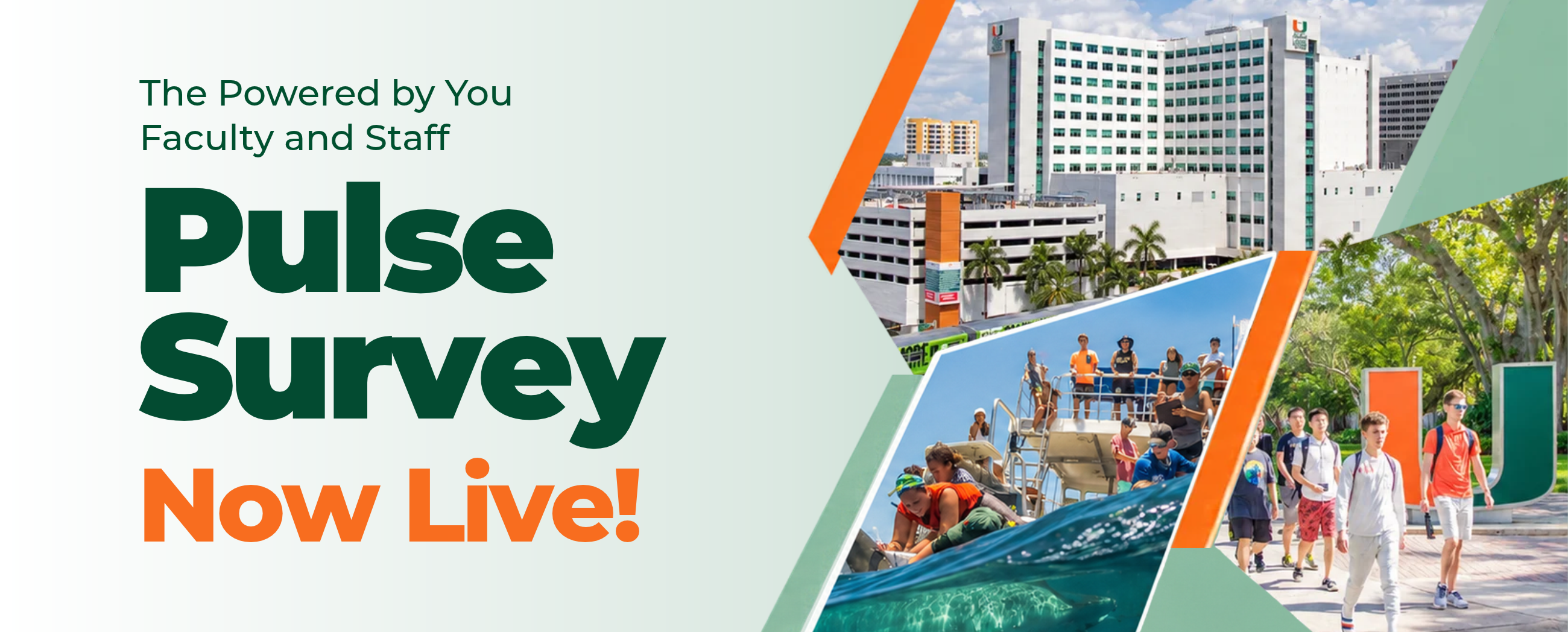 Pulse Survey Now Live HR
