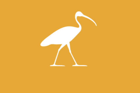 ibis
