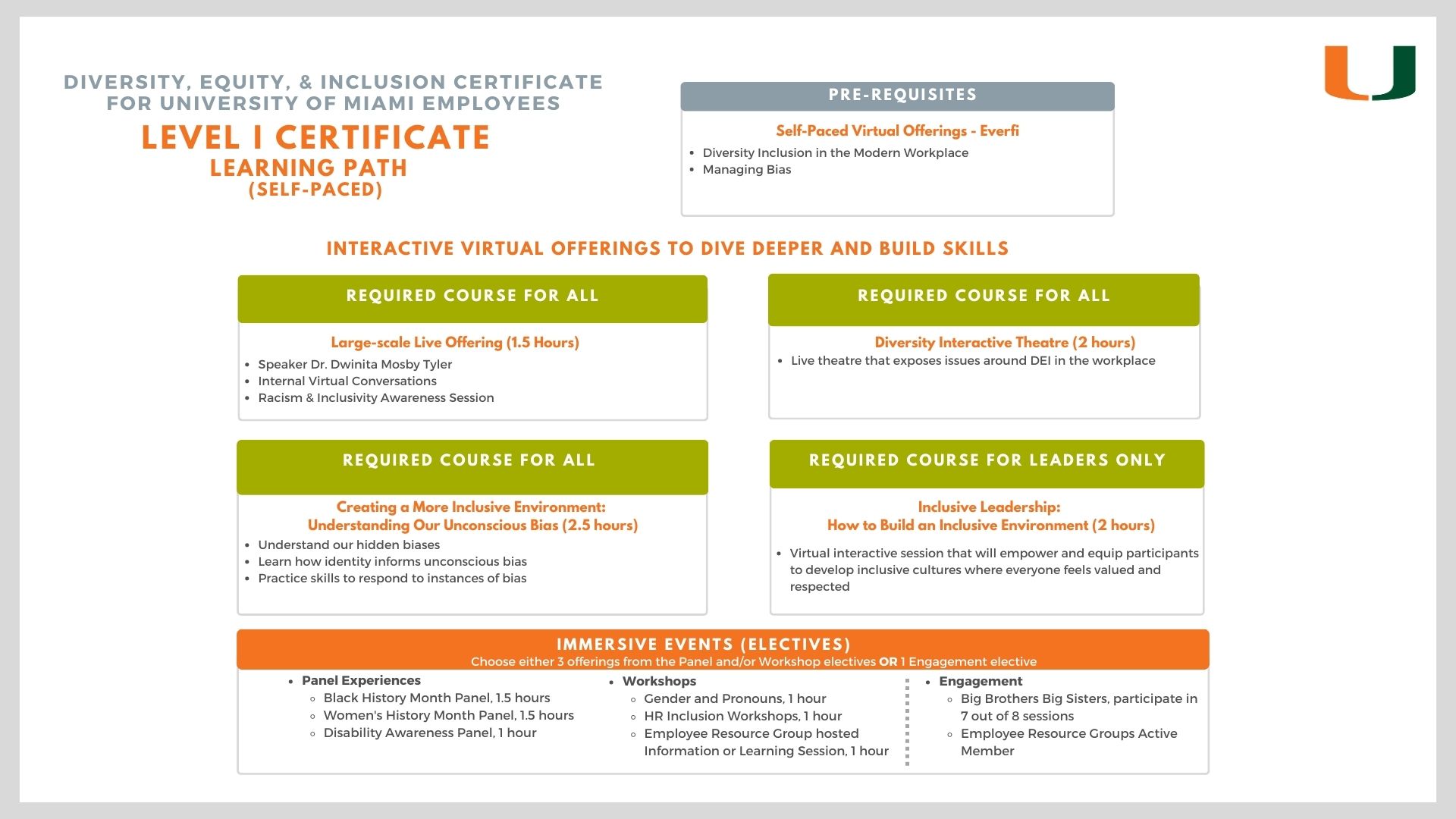 DEI Certificate Course Overview
